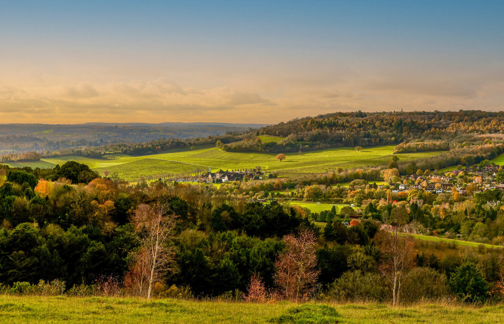 A panoramic view across the rolling countryside of the Surrey Hills.