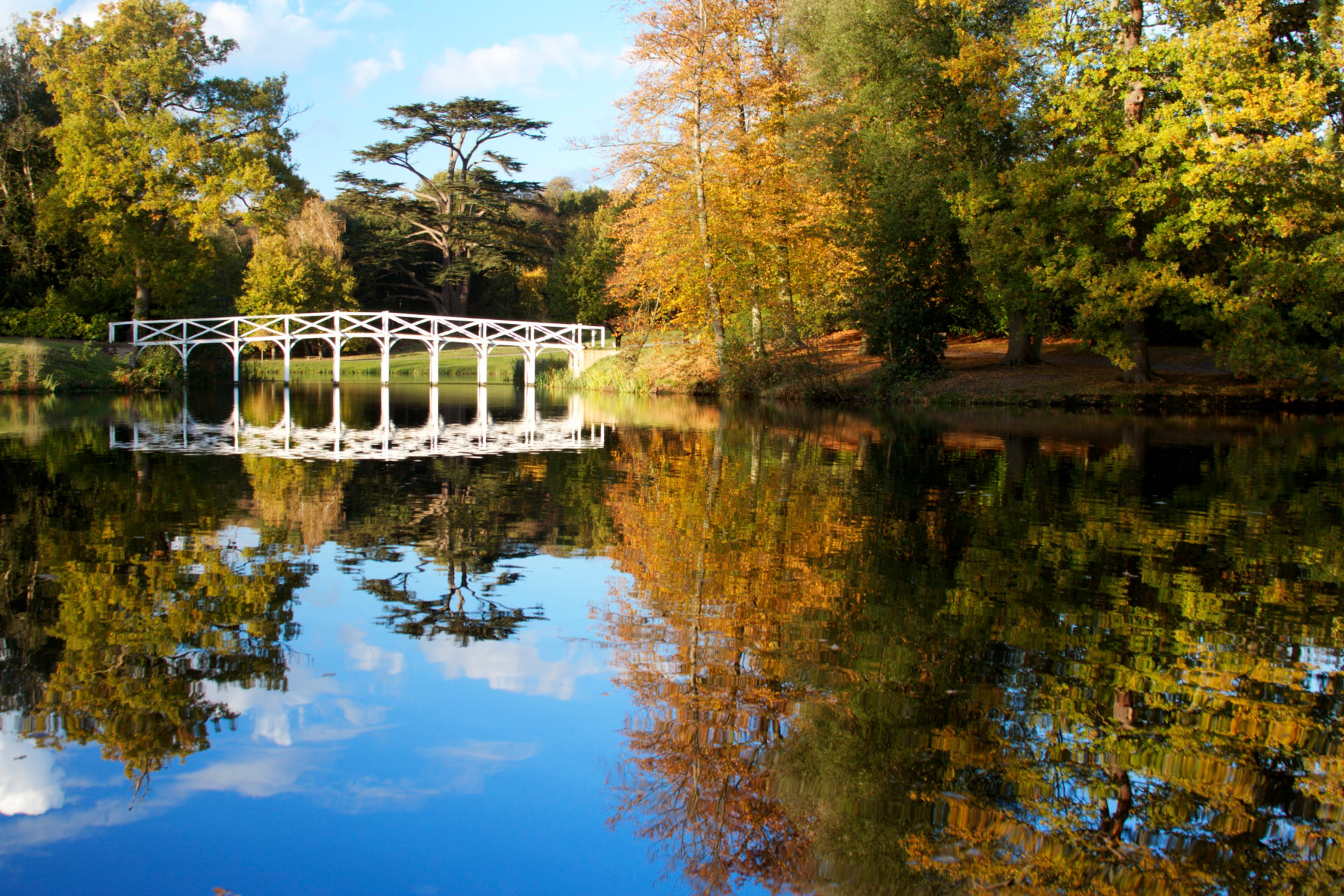 The lake and white bridge at Painshill in Cobham, surrounded by mature trees.